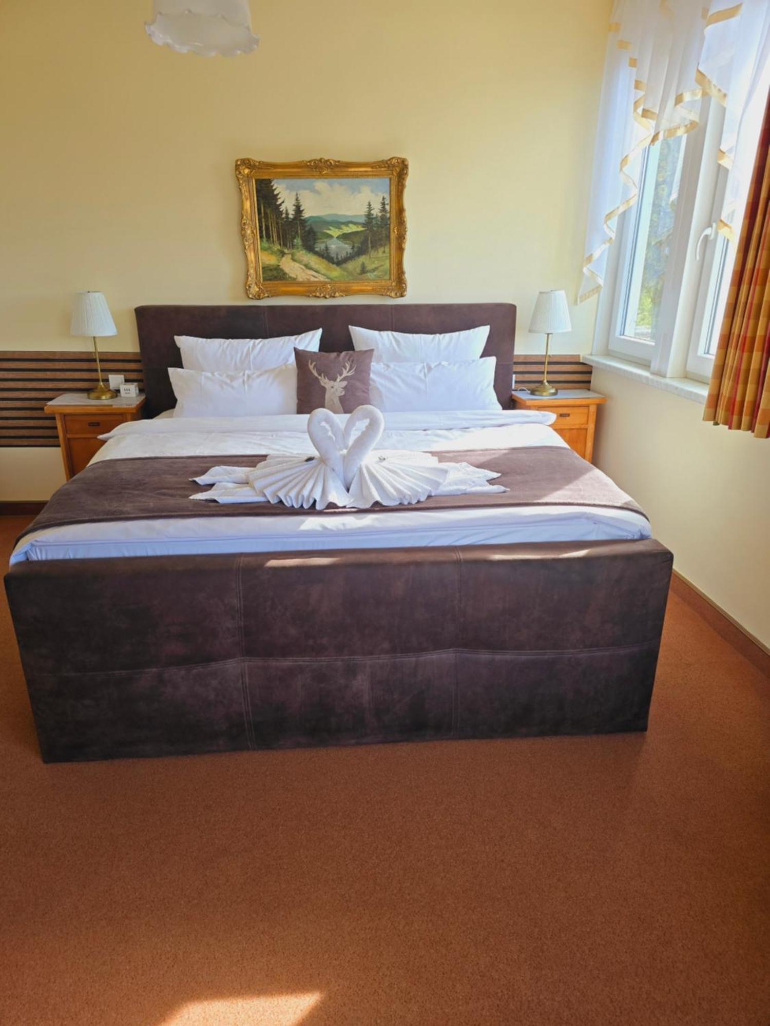 Hotel Elisabeth Ilse Braunlage Ngoại thất bức ảnh
